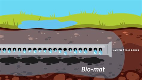 saturated septic leach treatment